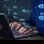 Crypto data online